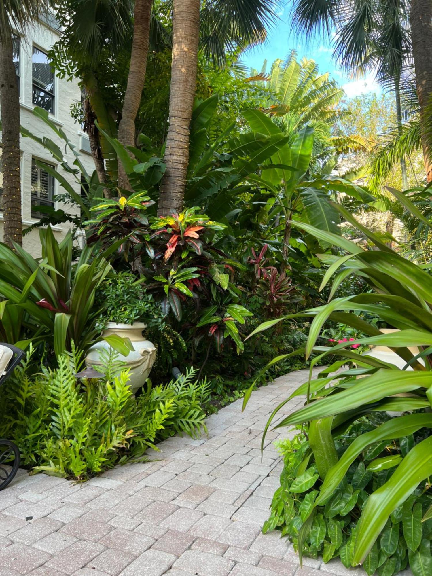 Orchid Suites - Historic Palm Beach Hotel Condominium Екстер'єр фото