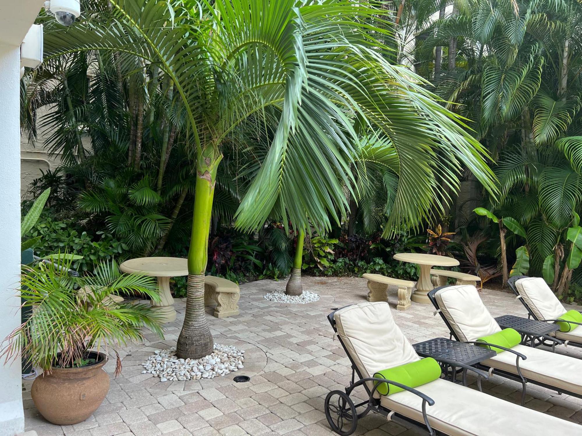 Orchid Suites - Historic Palm Beach Hotel Condominium Екстер'єр фото