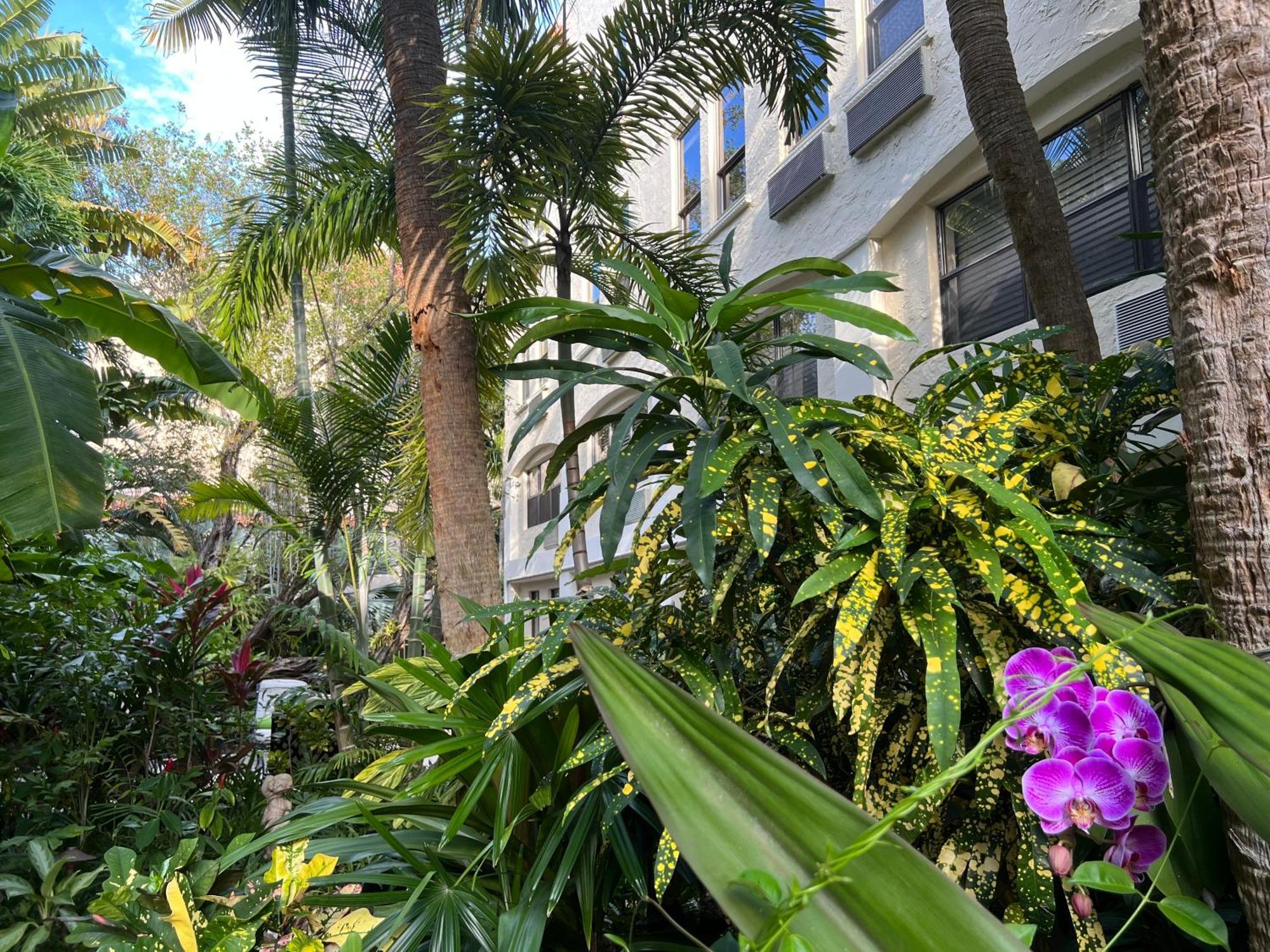 Orchid Suites - Historic Palm Beach Hotel Condominium Екстер'єр фото